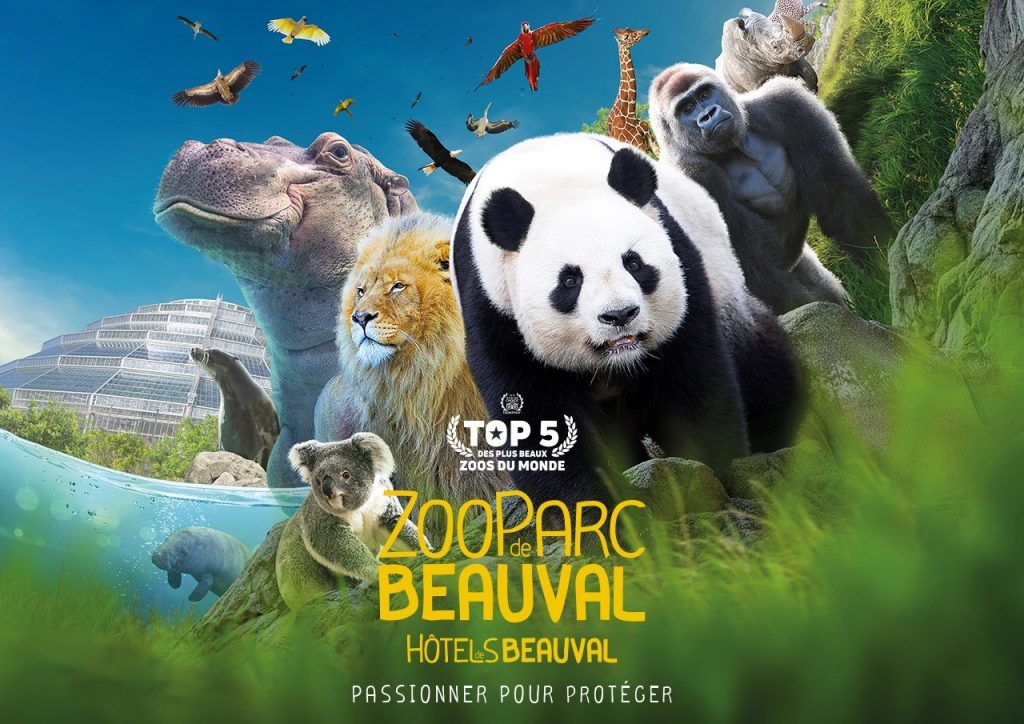 Sorties / évènements Zoo de Beauval Automne 89 € / pers. 25/10/2025