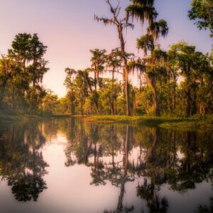 États unis, louisiane