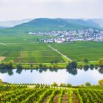 croisière moselle et rhin