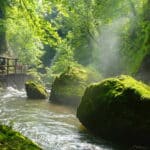 entre nature et culture