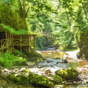 entre nature et culture