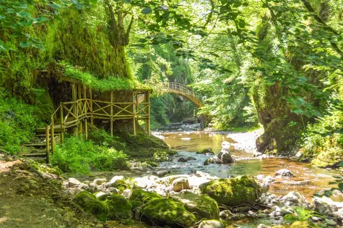 entre nature et culture